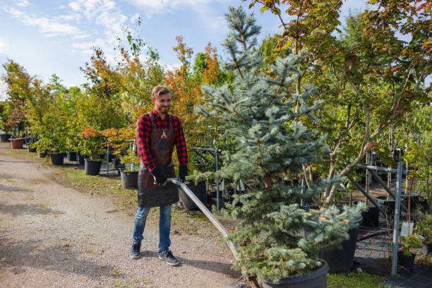 Best Weed Control  in Ithaca, NY